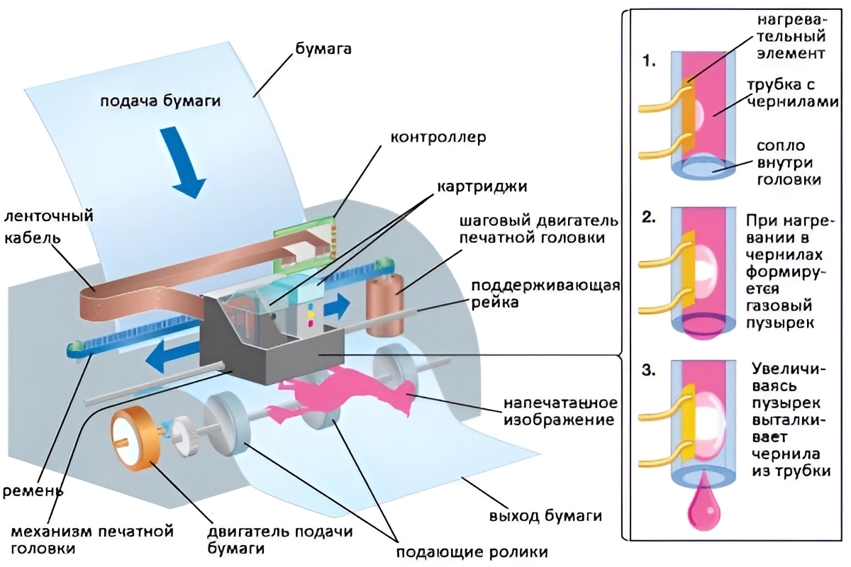 Чем принтер отличается от МФУ? Чем принтер отличается от МФУ?